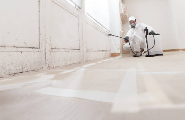 24/7 Emergency Basement Mold Remediation experts in McSherrystown, PA